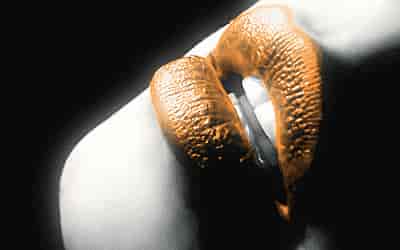 Penis büyütme hakkında sık sorulan sorular