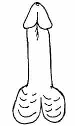 Forma de pene masculino que recuerda a un hongo