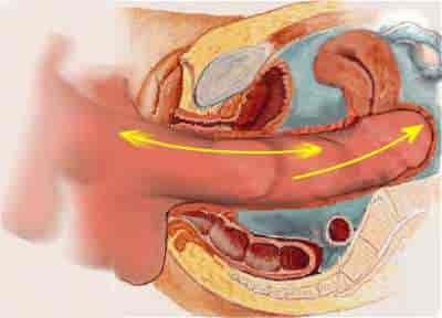 Начальная стадия возбуждения